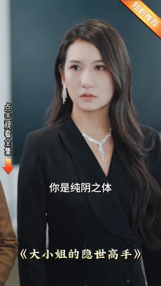 大小姐的隐世高手