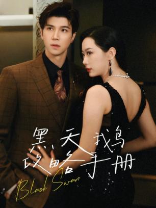 黑天鹅攻略手册