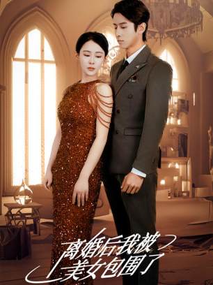 离婚后我被美女包围了