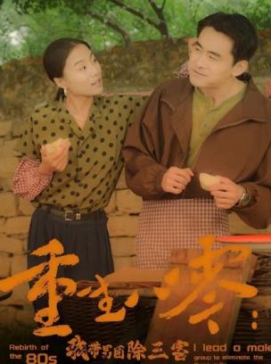 重生八零我带男团除三害