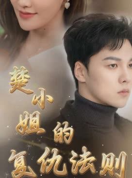 楚小姐的复仇法则