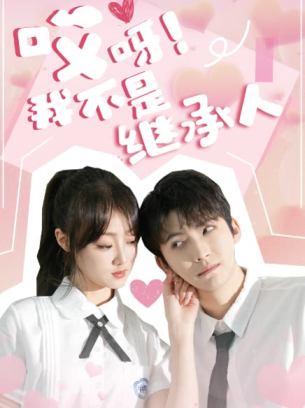 哎呀我不是继承人