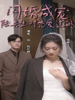 闪婚成宠陆先生对恋爱过敏