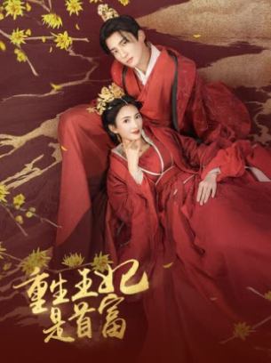 重生王妃是首富