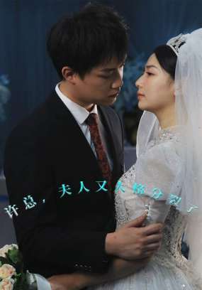 许总夫人又人格分裂了