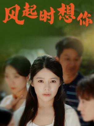 风起时想你