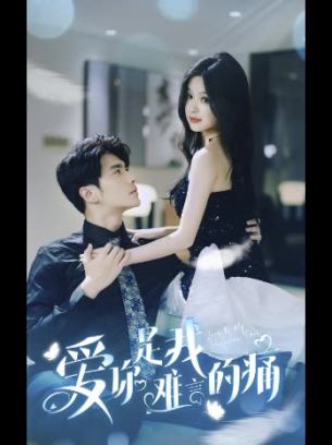 爱你是我难言的痛