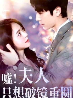 嘘夫人只想破镜重圆