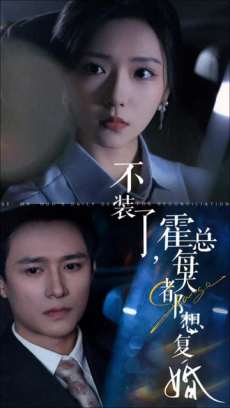 不装了霍总每天都想复婚