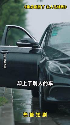 秦总别装了夫人已嫁到