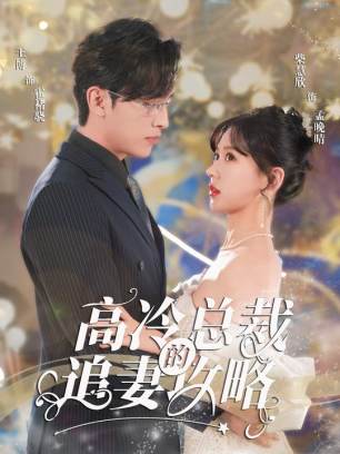高冷总裁的追妻攻略