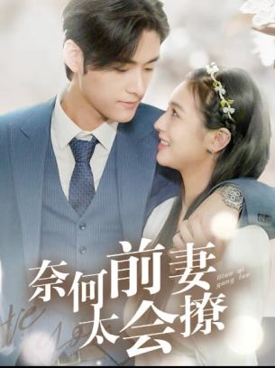 奈何前妻太会撩