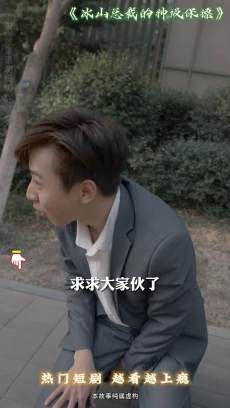 冰山总裁的神级保镖