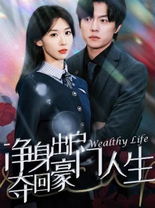 净身出户后夺回豪门人生