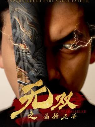 无双之最强老爸