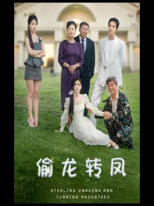 偷龙转凤