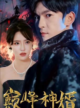 巅峰神婿