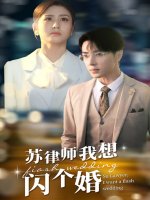 苏律师我想闪个婚