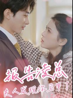 报告凌总夫人发现你马甲了