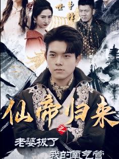 仙帝归来之老婆拔了我的氧气管