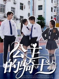 公主的骑士