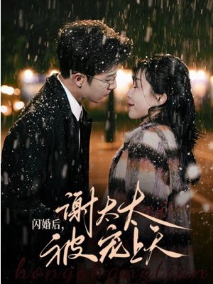 闪婚后谢太太被宠上天