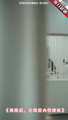 离婚后总裁前夫想撩我