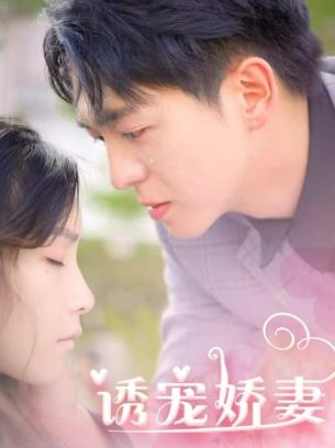 诱宠娇妻