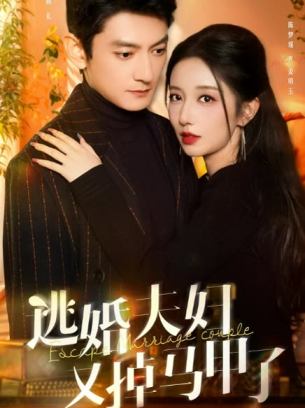 逃婚夫妇又掉马甲了