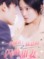 一夜惊喜陆总的闪婚甜妻