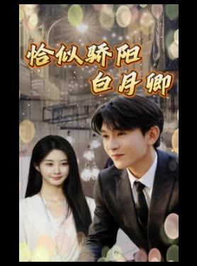 恰似骄阳白月卿