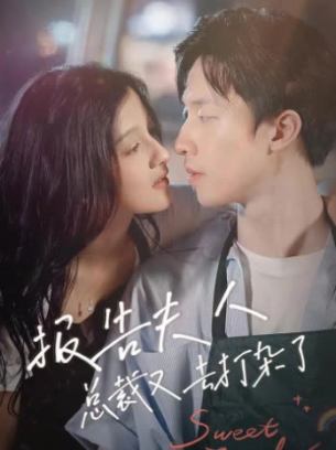 报告夫人总裁又去打杂了