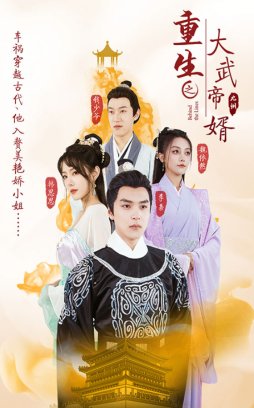 重生之大武帝婿