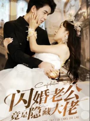 闪婚老公竟是隐藏大佬