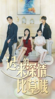 迟来的深情比草贱