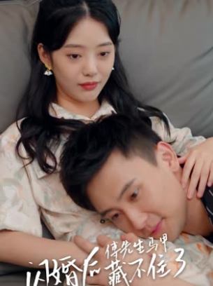 闪婚后傅先生马甲藏不住了