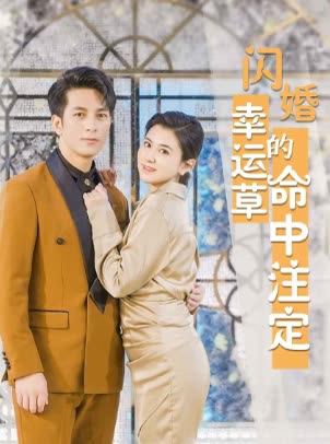 闪婚幸运草的命中注定