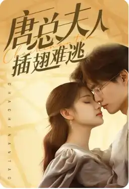 唐总夫人不好惹