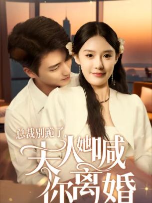 总裁别跪了夫人她喊你离婚