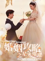 婚姻攻略之星光璀璨