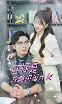 目标是攻略闪婚大佬