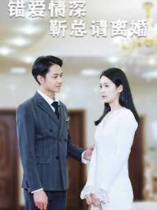 错爱情深靳总请离婚