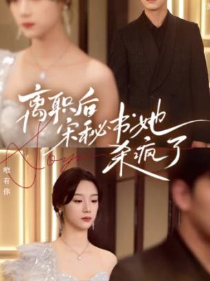 离职后宋秘书她杀疯了