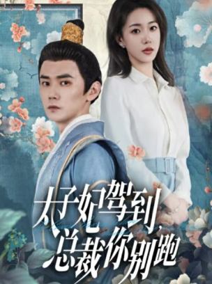 太子妃驾到总裁你别跑