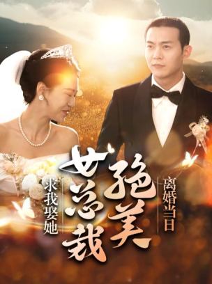 离婚当日绝美女总裁求我娶她