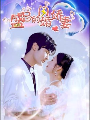 盛总的闪婚娇妻