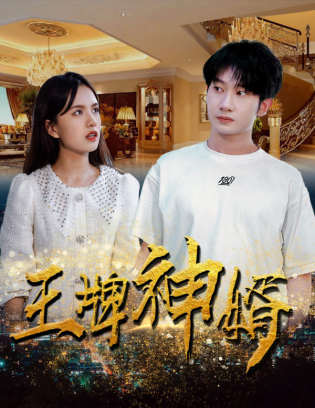 王牌神婿