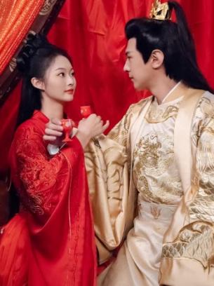 皇帝的神医宠妃