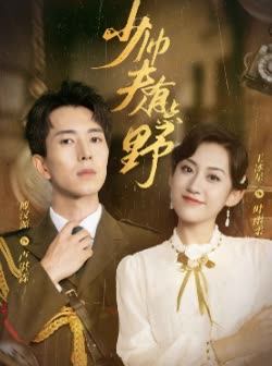 少帅夫人有点野