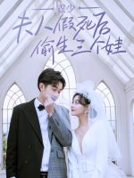 霆少夫人假死后偷生三个娃